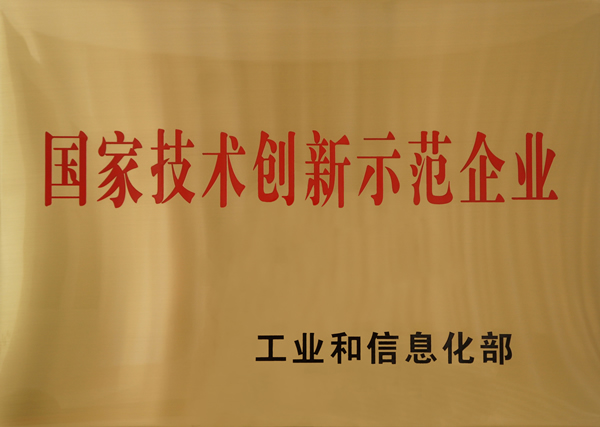 国家技术创新示范企业