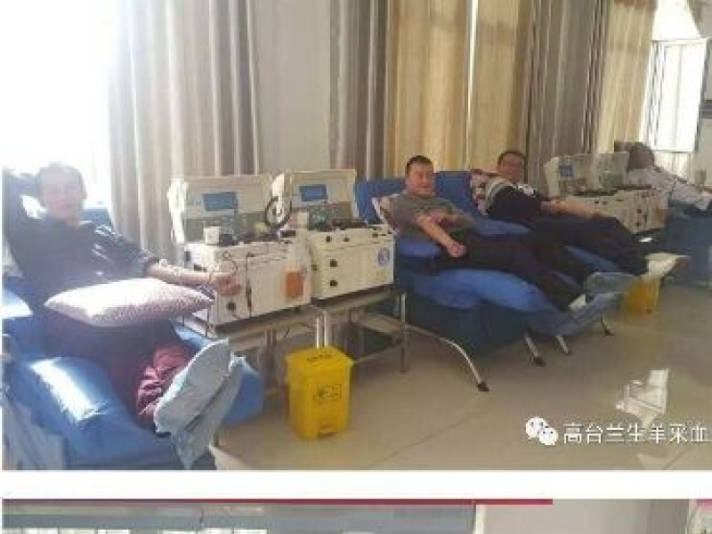 关爱女性   呵护健康——高台单采血浆公司开展关爱女性系列公益活动