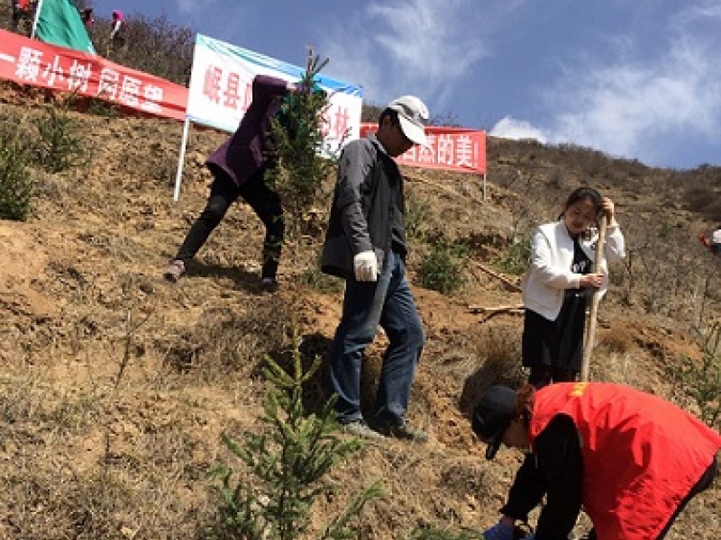 定西兰生单采血浆公司岷县浆站开展“爱心林”植树活动