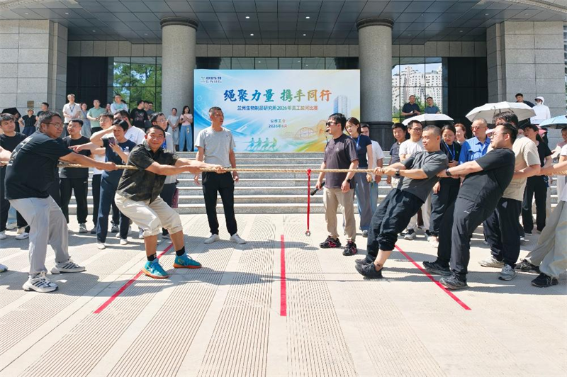 1781942142225532.png 图片1.png